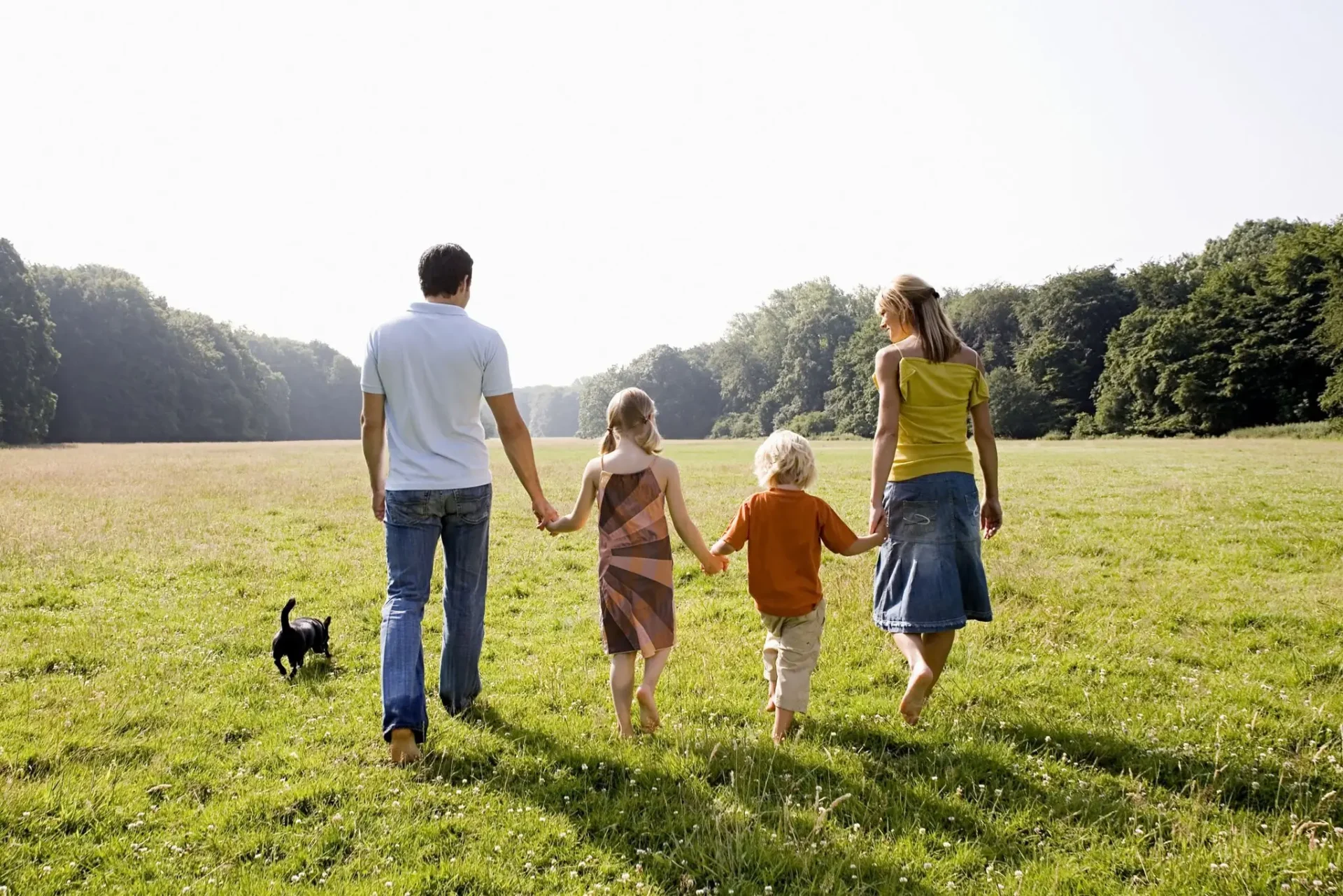 Family of four walking hand in hand in a sunny field with their dog.
