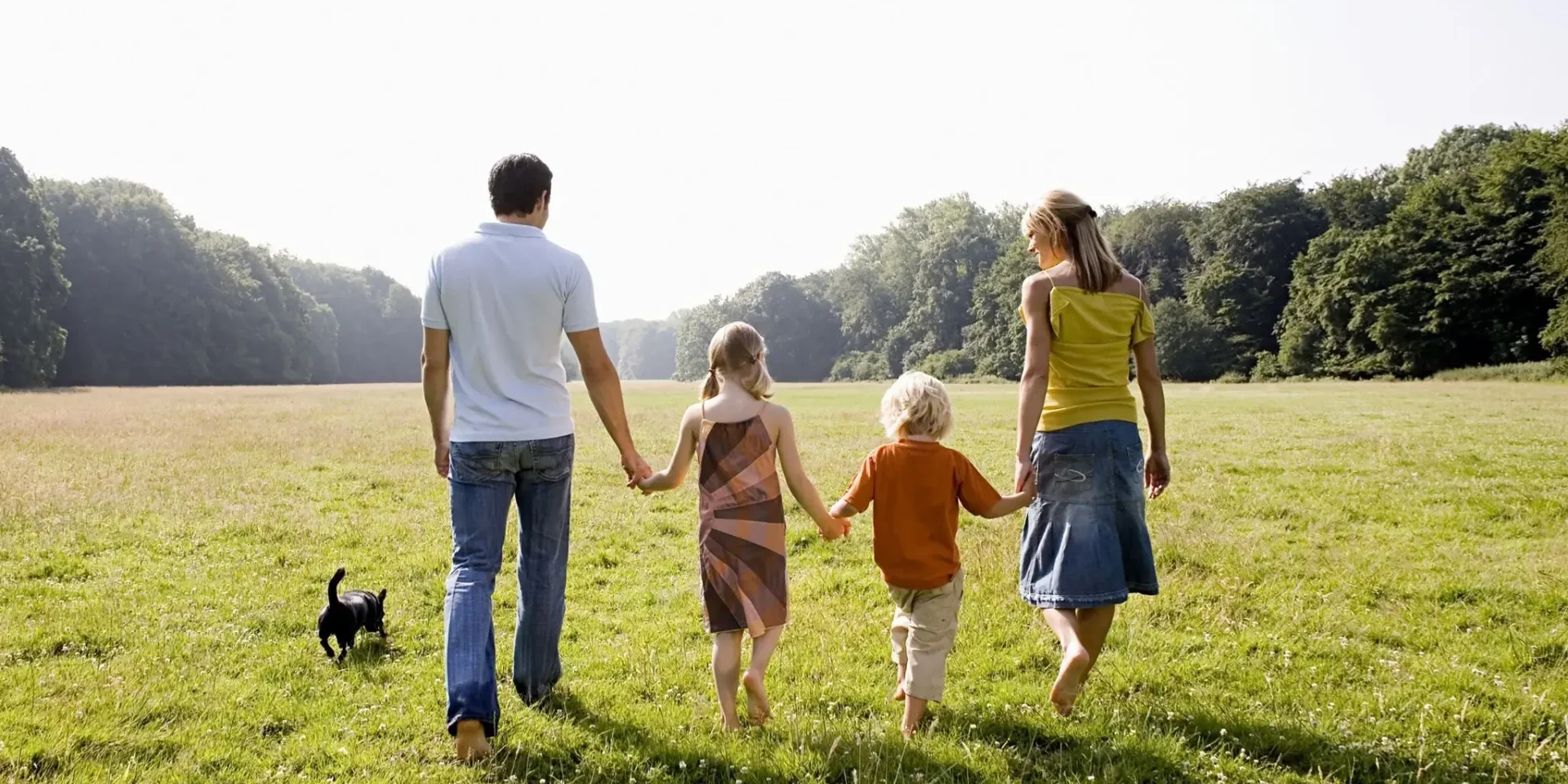 Family of four walking hand in hand in a sunny field with their dog.